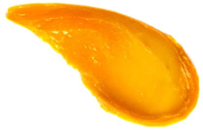 CBD Lip Balm